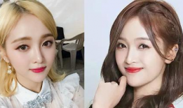 网红与明星行程